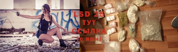 PSILOCYBIN Богданович
