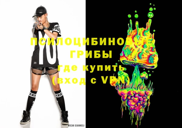 PSILOCYBIN Богданович