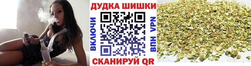Конопля сатива  Оренбург 